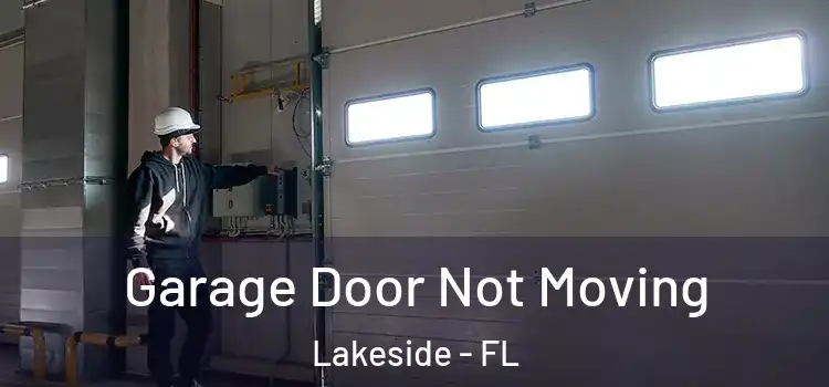  Garage Door Not Moving Lakeside - FL